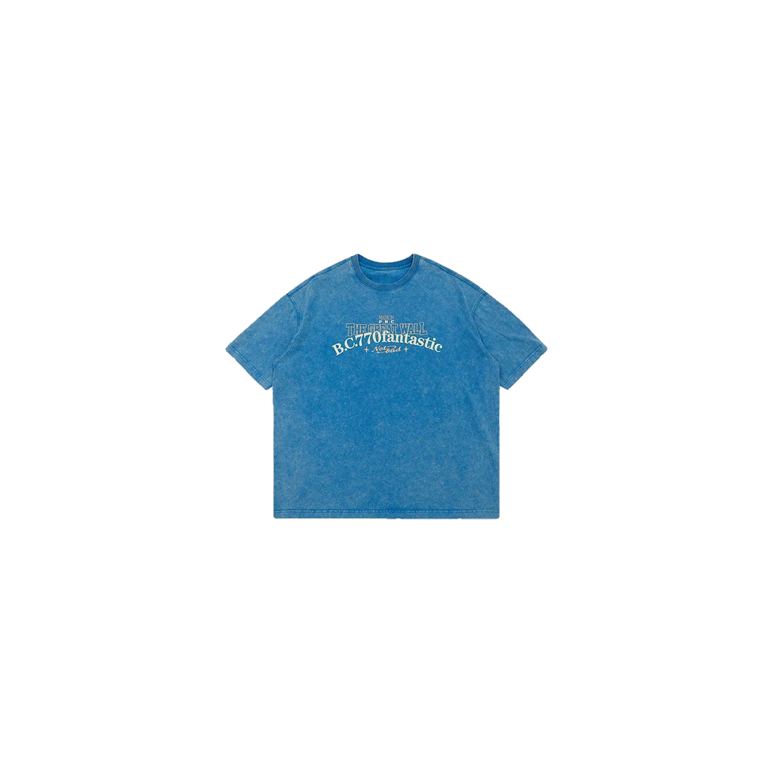 The Vintage Washed T-Shirt 10